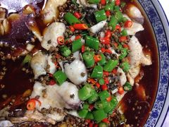 青花椒鱼片-迎宾饭店