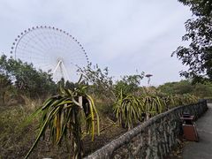 -凤岭儿童公园