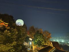 -巴倒烫陆派火锅山庄(南山总店)