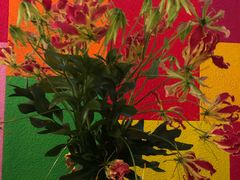 -伯衡55·吉品轩(乌鲁木齐南路店)