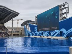 -上海海昌海洋公园