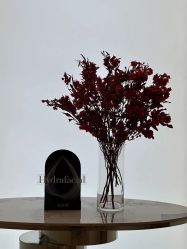 -Fundi张玉珊修身堂·indiba·BTL科技瘦身