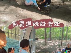 -白水寺森林公园