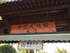-白洋淀景区