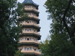 -灵谷景区