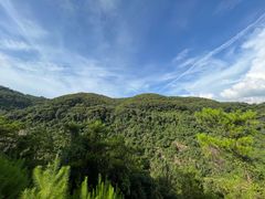 -广州白江湖森林公园