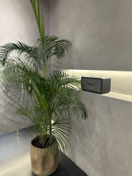 -老肖男士理发店