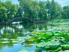 -长兴太湖图影湿地文化园
