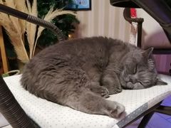 -Rabbit Cafe私房西餐甜点咖啡(栖霞路店)