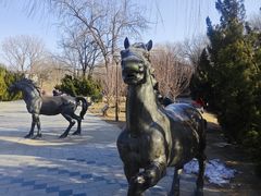 -元大都城垣遗址公园