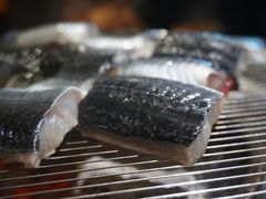 -本炙炭烤·蒲烧活鳗料理店(金沙洲店)
