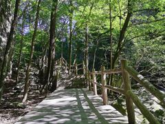 -牛背梁国家森林公园