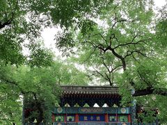 -北京国子监胡同