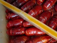 -紫燕百味鸡(广西店)