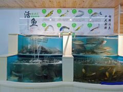 -屯老二农家铁锅炖·行业领军者(梅江店)