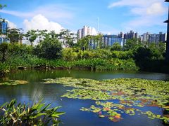 -星巴克(深圳前海企业公馆店)