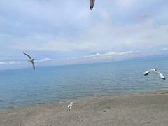 -青海湖国家重点风景名胜区