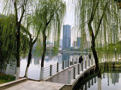 -后襄河公园