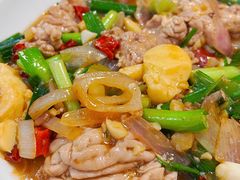 红烧猪脑-新岳记煎饺