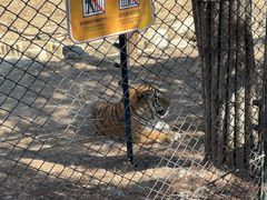 -大连森林动物园