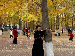 -辽宁大学(崇山校区)