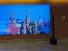 -谢列梅捷沃国际机场