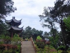 -铁山坪森林公园