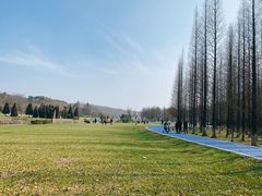 -宜兴龙背山森林公园