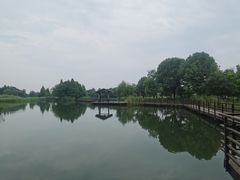-桐乡凤凰湖