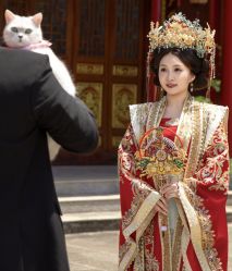 -Dina迪纳摄影(梅州品牌旗舰店)