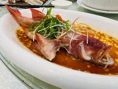 -德兴海鲜渔港(辉煌大厦店)