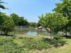 -上海海湾国家森林公园