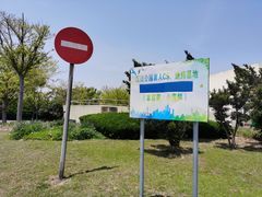 -南汇嘴观海公园