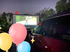 -枫花园汽车电影院(朝阳公园店)