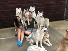 -TrueLove @ Neverland (Husky Cafe)