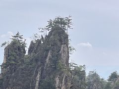 -老君山风景名胜区