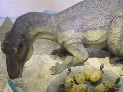 -国家自然博物馆