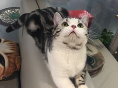 -小时光咖啡馆(开森度假森林店)