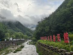 -牛背梁国家森林公园