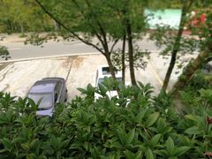 -楠柏弯休闲山庄(梨花溪店)