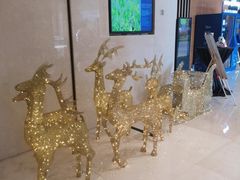 -上海嘉定喜来登酒店