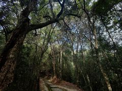 -腾冲云峰山