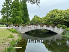 -上海滨江森林公园