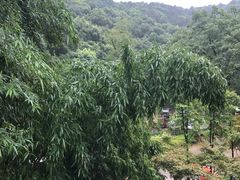 -天怡·鱼工厂(梅溪湖店)