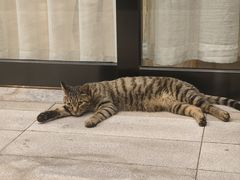 -长沙晚报大道亚朵酒店