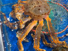 -盒马鲜生(首义店)