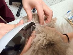 -瑞派康怡24h宠物医院·犬猫医疗中心·微创绝育(瑞景分院)