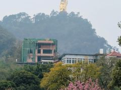 -南山植物园