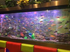 -御池园(顾村公园店)