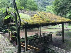 -白云源风景区
